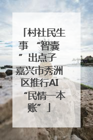 村社民生事 “智囊”出点子 嘉兴市秀洲区推行AI“民情一本账”
